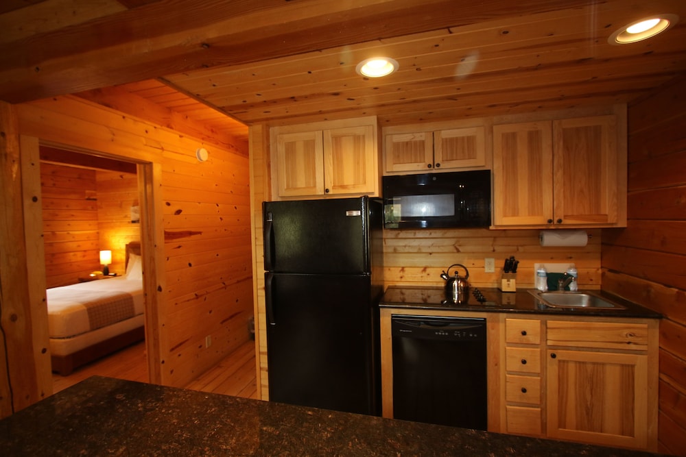 Mount Princeton Hot Springs Resort - photo 23