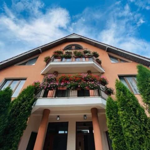 Casa Ana — 4-Star Luxury Hotel in Moneasa, Romania