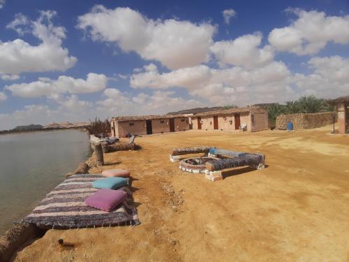 M Biama Island — Siwa Oasis