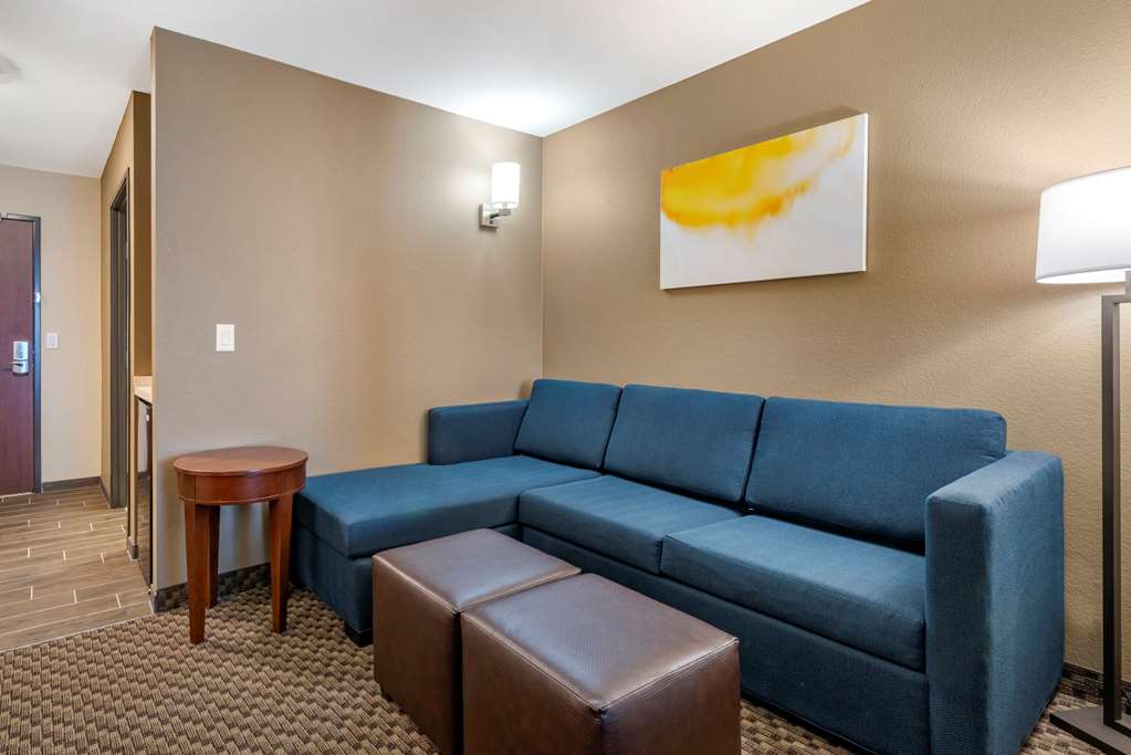 Comfort Suites Broomfield Boulder Interlocken - photo 14