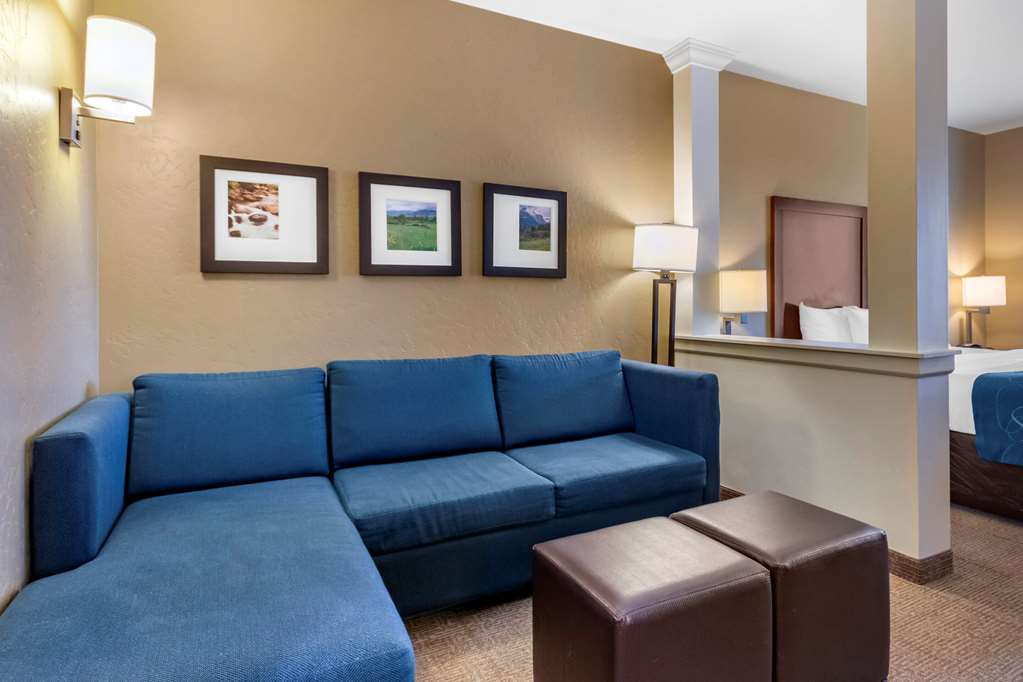Comfort Suites Airport University - photo 14