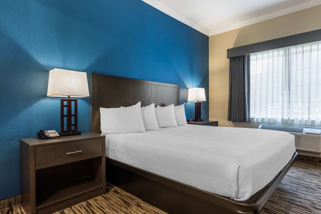 Best Western Dinosaur Valley Inn & Suites - photo 16