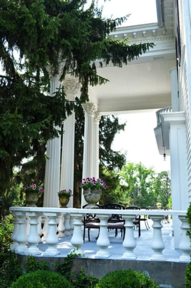 Albemarle Inn - photo 133