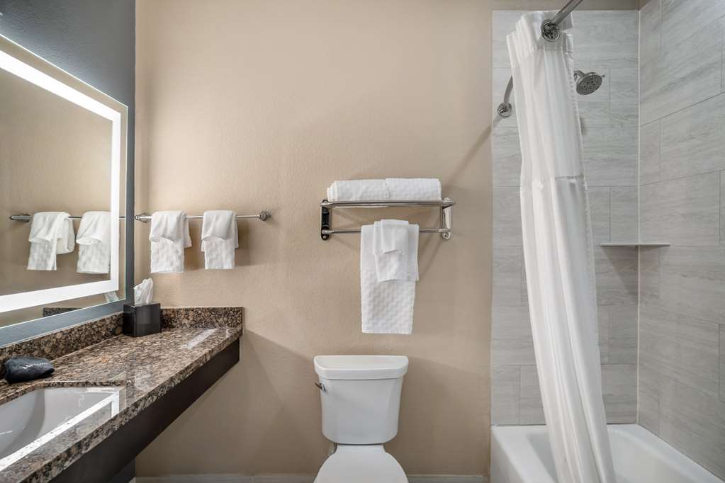 Best Western Plus Lake Jackson Inn & Suites - photo 19