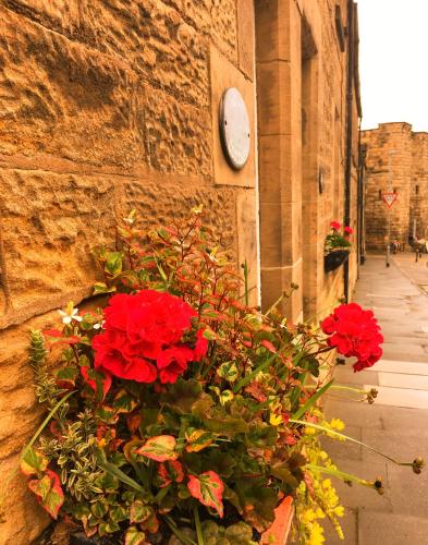 Juliet Cottage late Georgian treasure charming cosy and historic only a short walk to Alnwick Castle — 4-Star Luxury Hotel in Alnwick, United Kingdom