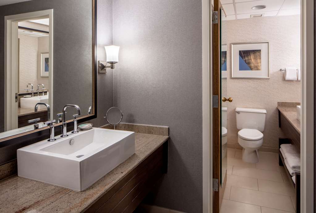 Hyatt Regency St. Louis at The Arch - photo 14