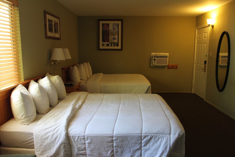 Big Pines Mountain House - photo 5