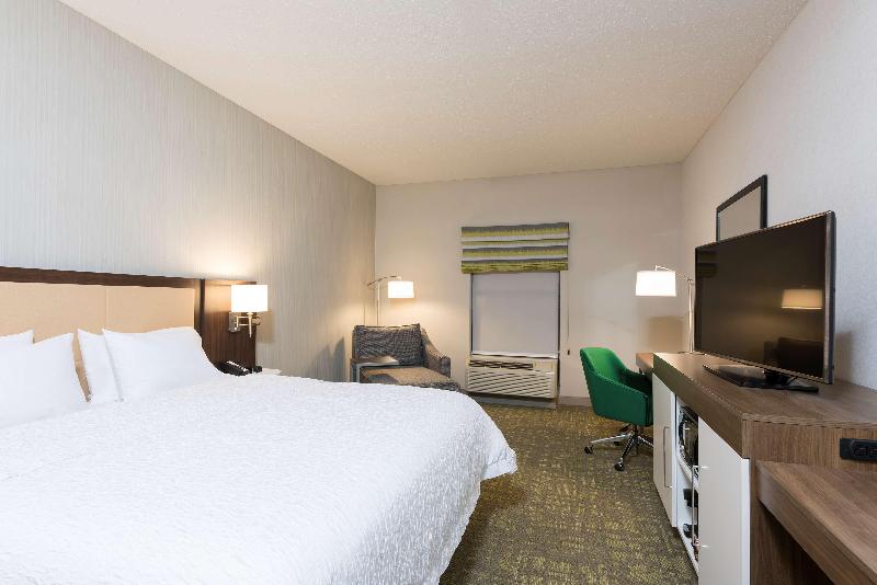 Hampton Inn & Suites East Lansing Okemos - photo 11