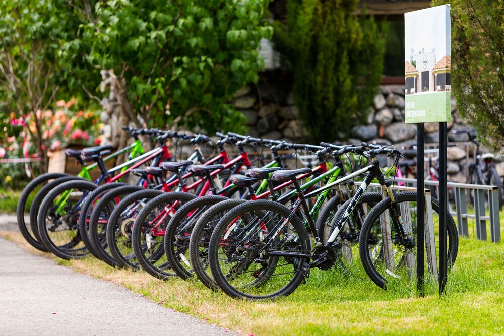 פעילויות וכושר