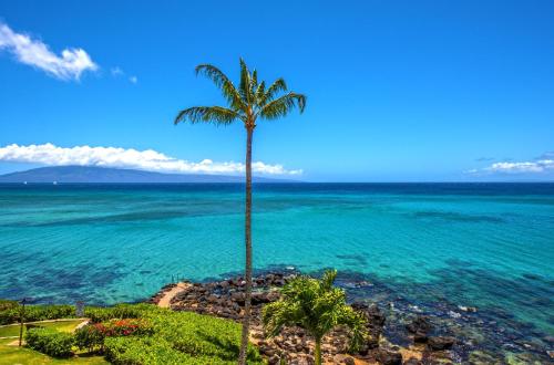 Kuleana Resort 417 - photo 26