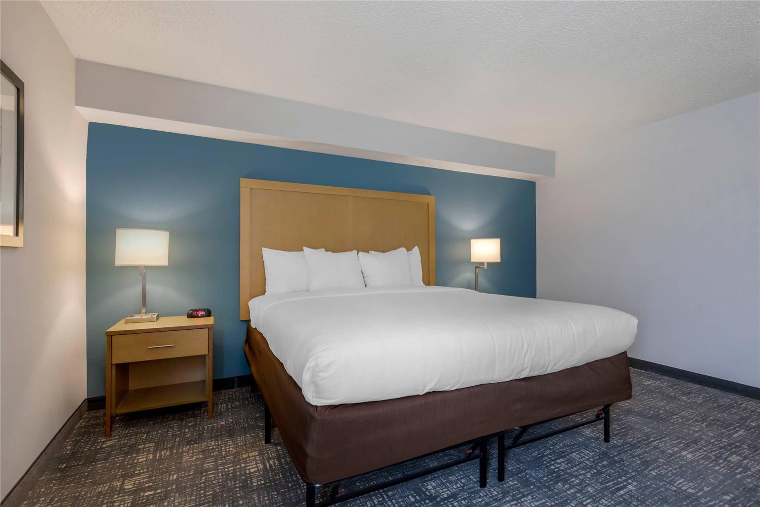Comfort Inn & Suites Alexandria West - photo 5