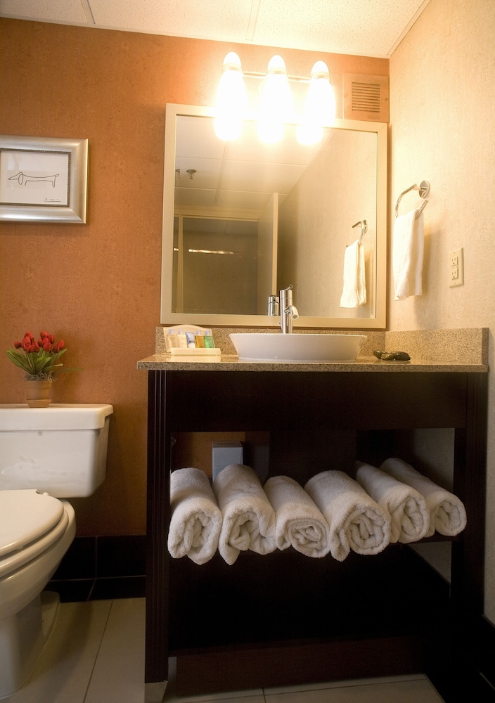 DoubleTree by Hilton Springfield - photo 15