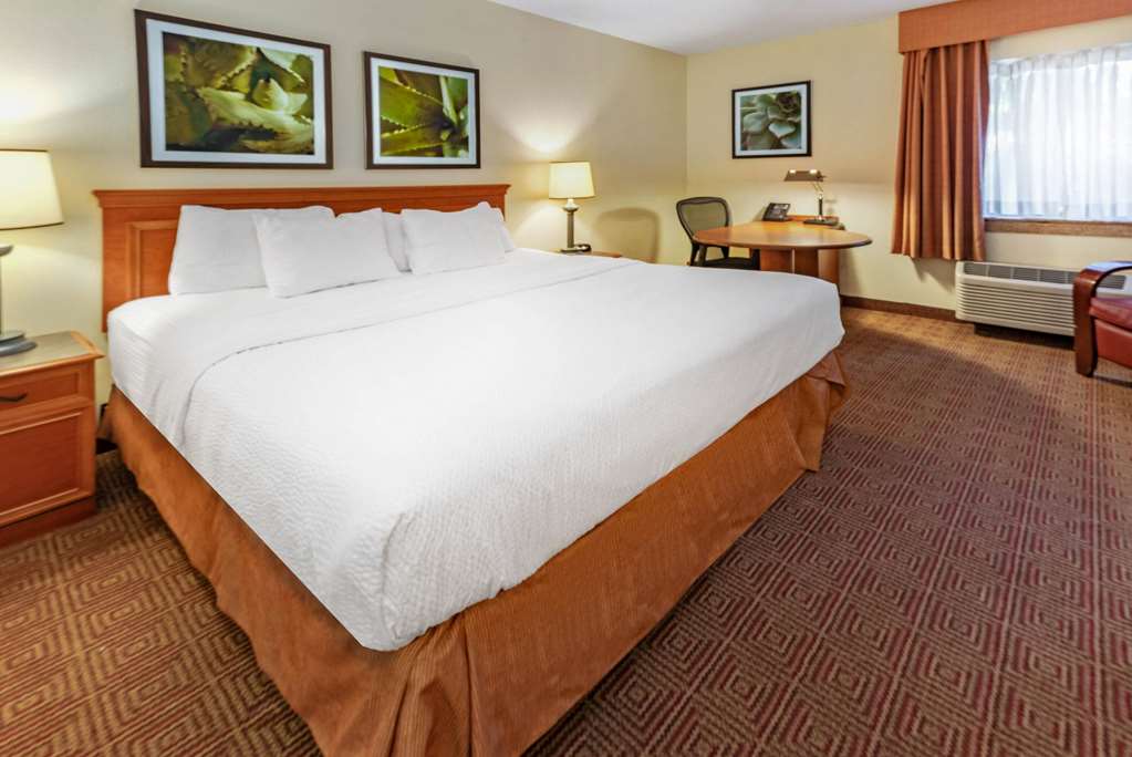 La Quinta Inn & Suites by Wyndham Tampa Brandon West - photo 36