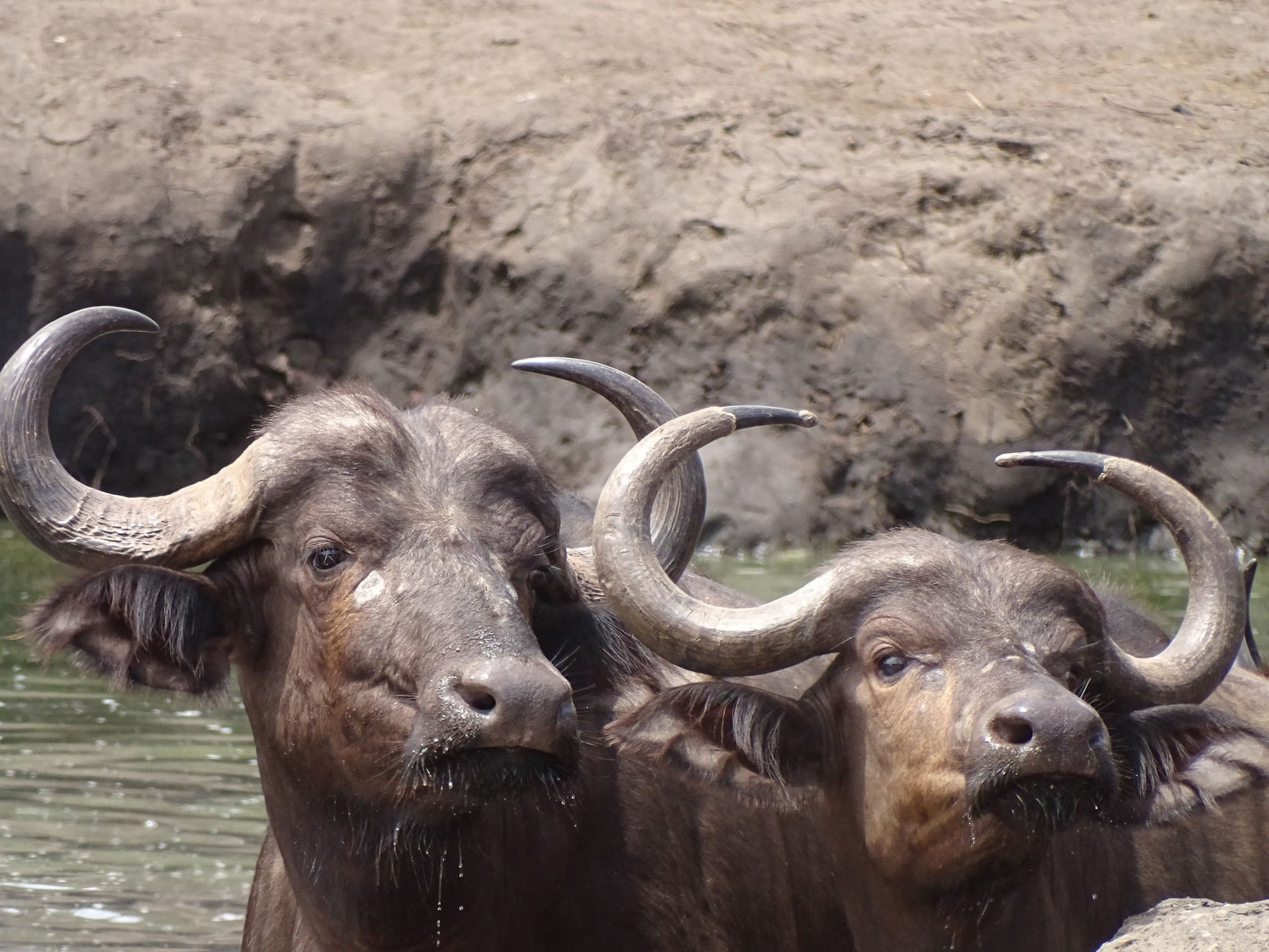 Klaserie Sands River Camp
