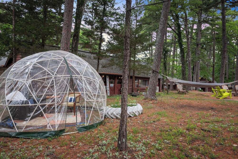 Tall Pines Inn - photo 153
