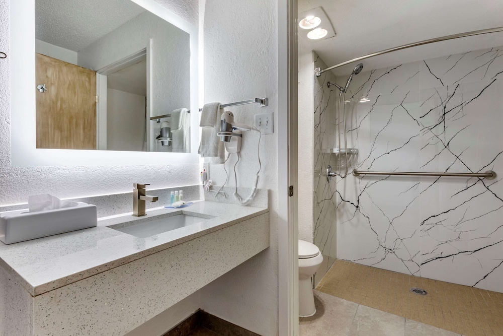 Quality Inn & Suites Sulphur Springs - photo 59