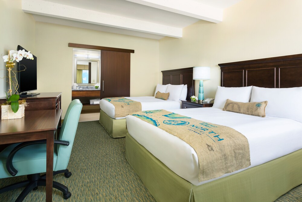 Blue Flamingo Resort Key West - photo 16