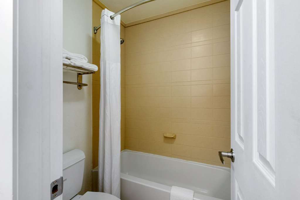 Quality Inn Clute Freeport - photo 21
