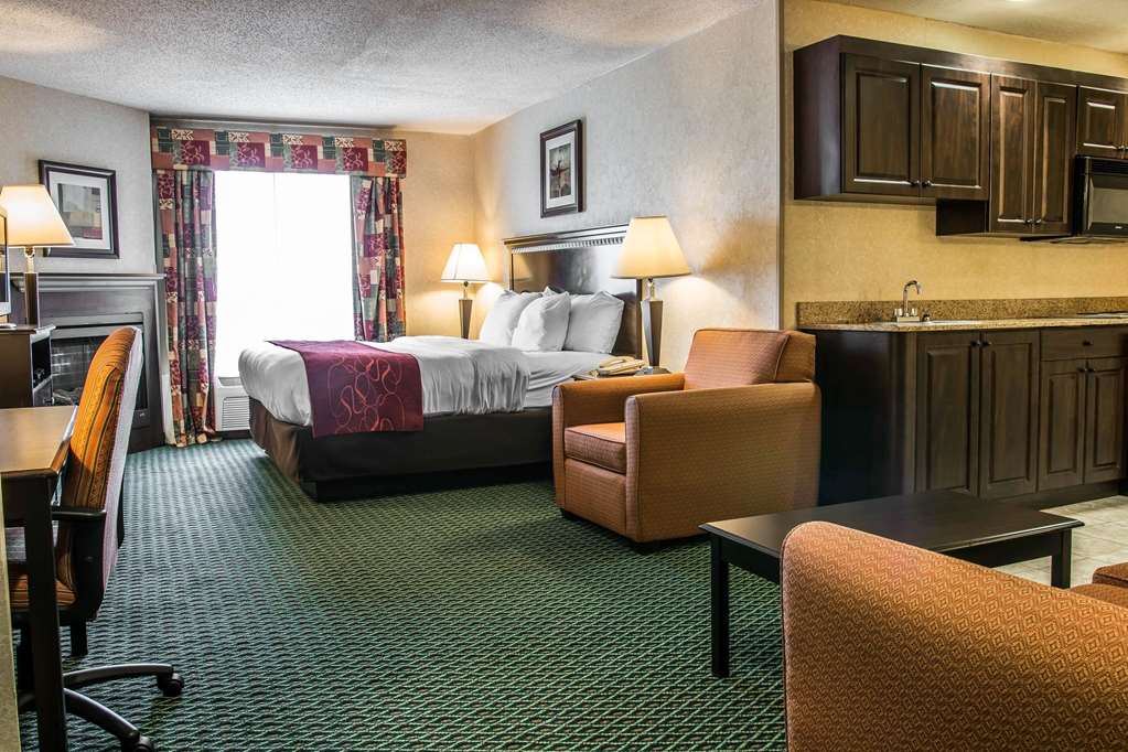 Comfort Suites Canton Detroit - photo 19