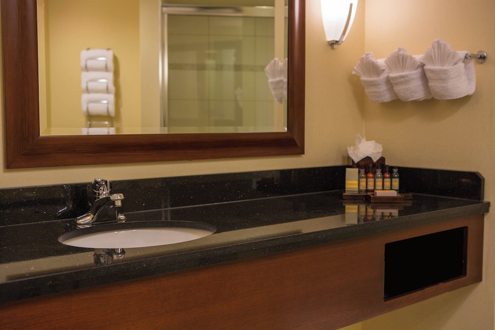 Baltimore Marriott Inner Harbor at Camden Yards - photo 10