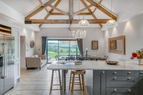 Shorthorn in Richmond, United Kingdom