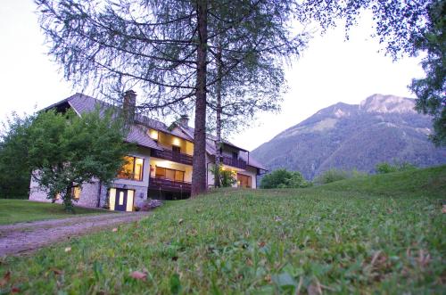 Gaj pod brezami in Luce, Slovenia