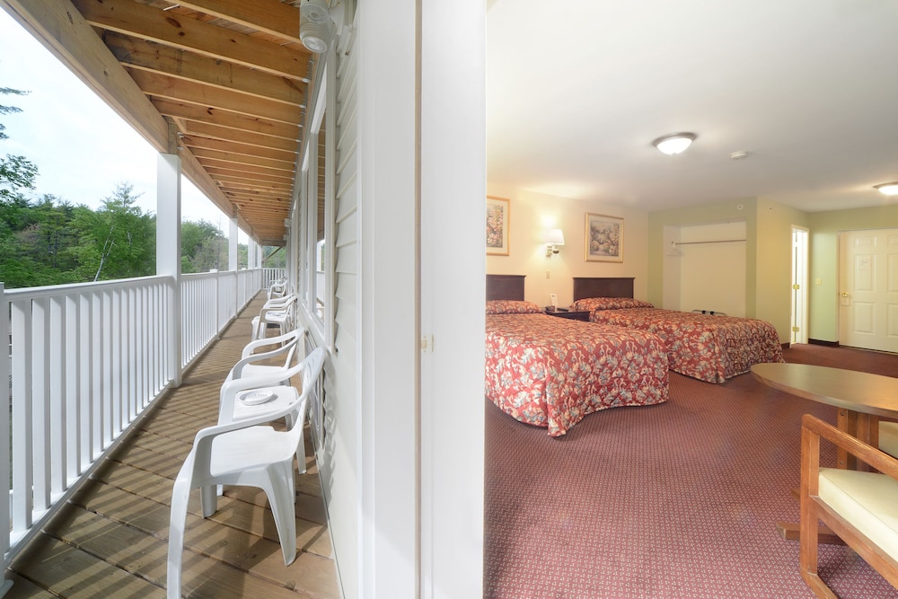 Studio Motel - photo 25