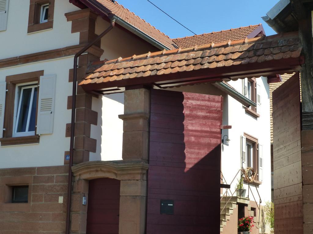 L’Ete En Novembre in Strasbourg, France