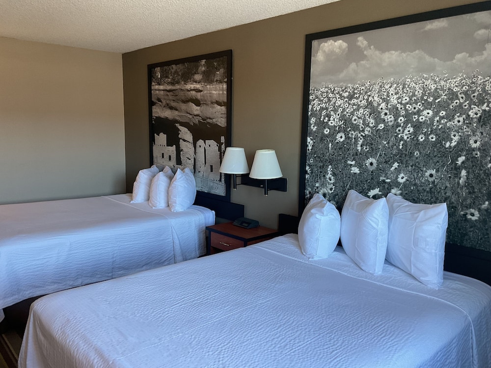 Super 8 by Wyndham Colorado Springs Airport - photo 11