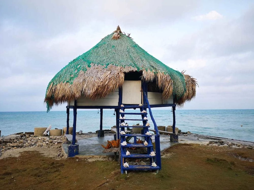 Dahlandia in Unknown City, Colombia