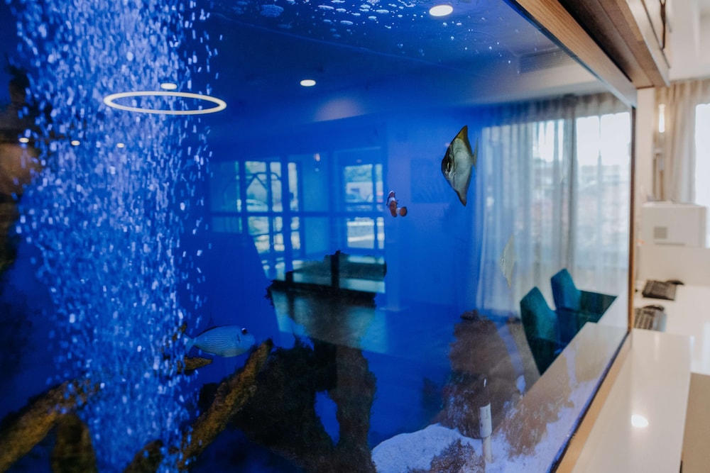 Hampton Inn Rehoboth Beach - photo 8