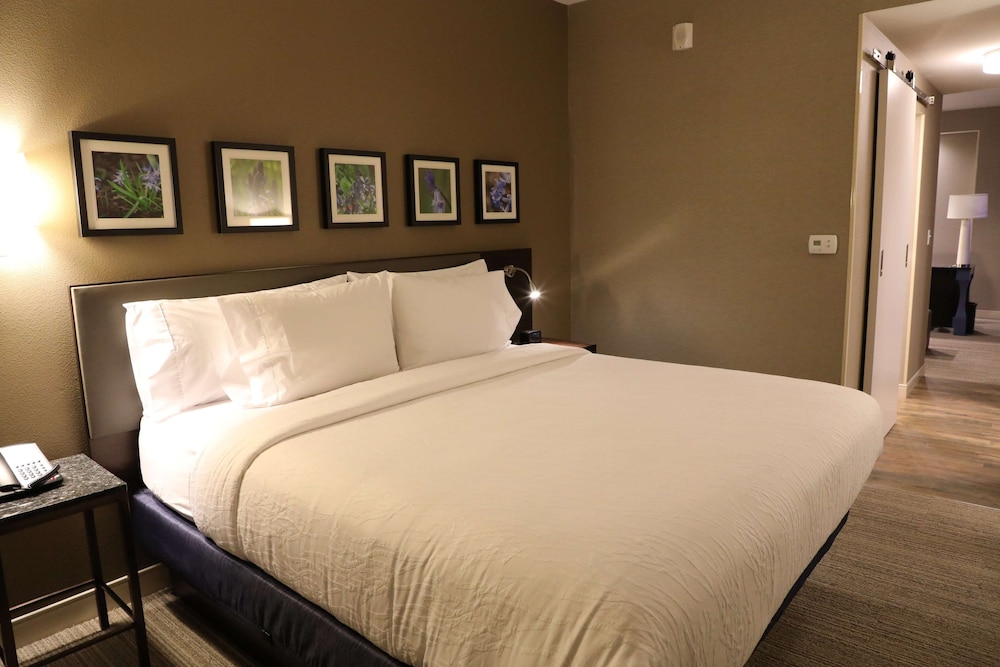 Hilton Garden Inn Austin Airport - photo 8