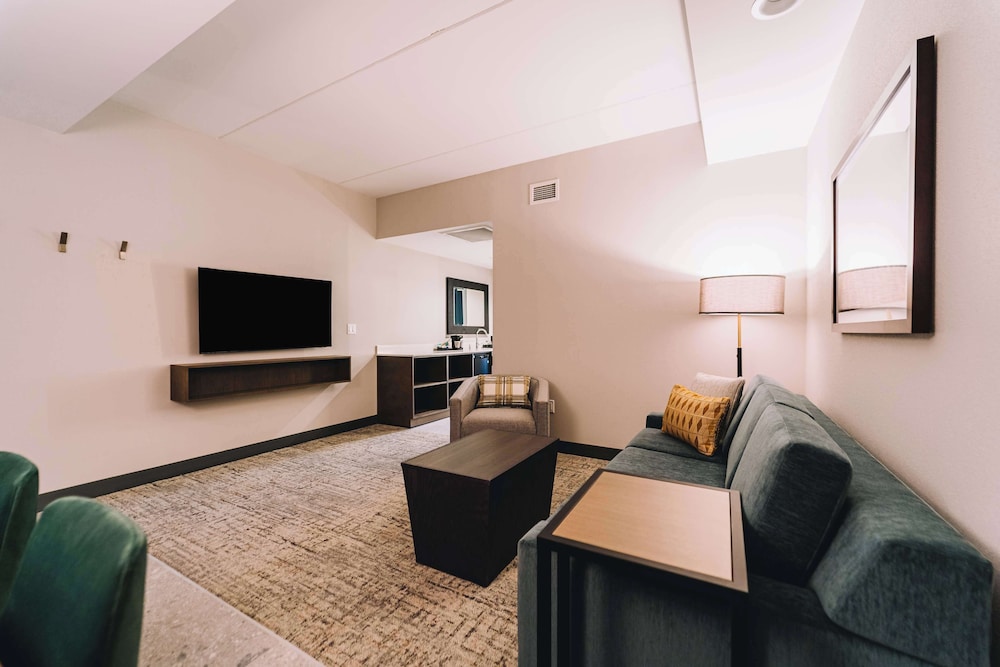 Embassy Suites by Hilton Gatlinburg Resort - photo 24
