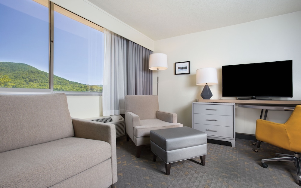 Holiday Inn Asheville East Blue Ridge PKWY by IHG - photo 9