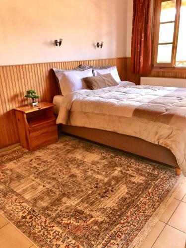 Apostolos Hotel — Metsovo — photo 5