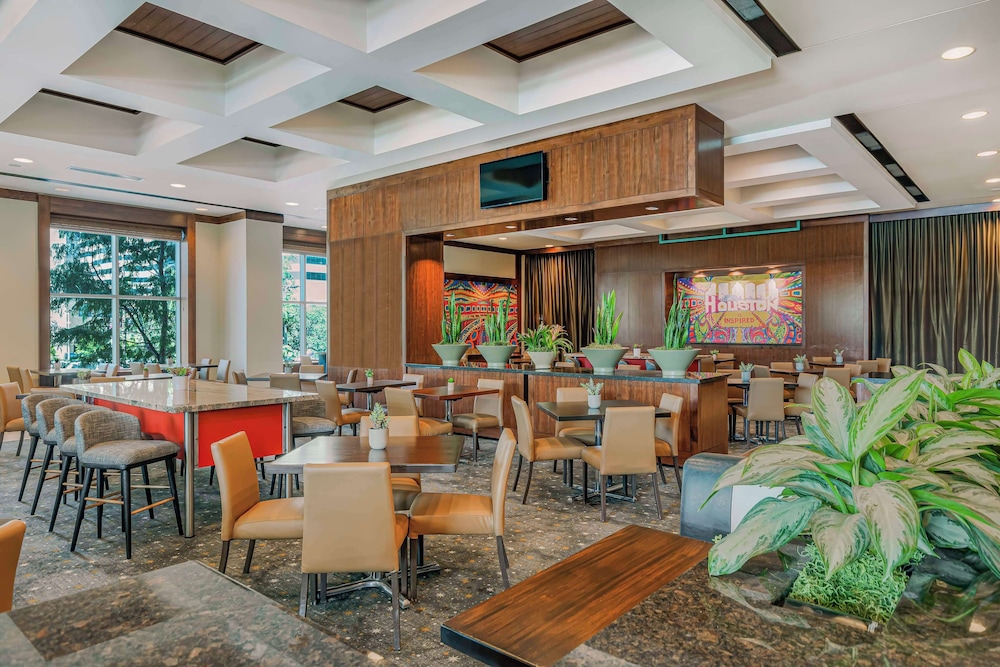 Embassy Suites Houston Downtown - photo 29