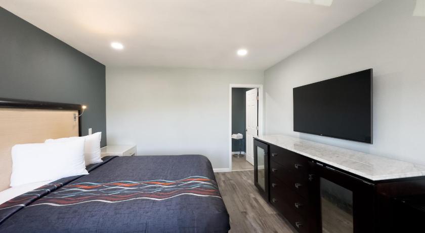 Courtesy Inn And Suites - photo 10