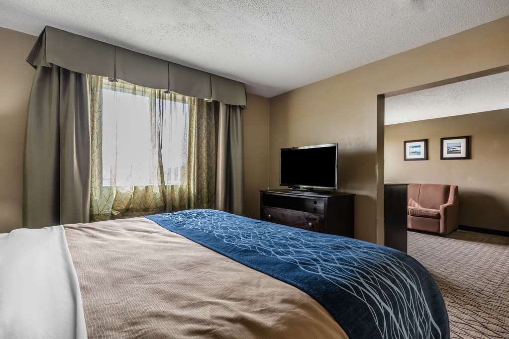 Comfort Inn & Suites Crystal Inn Sportsplex - photo 20
