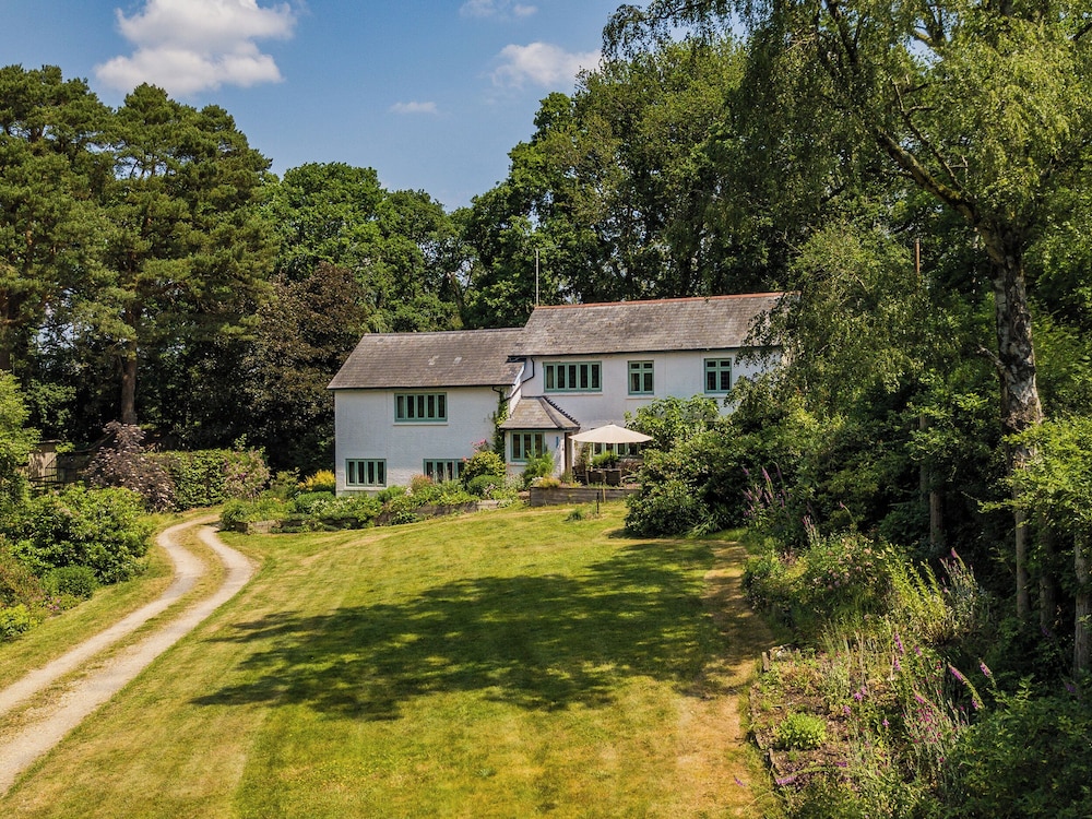 Primrose Spinney — Ringwood
