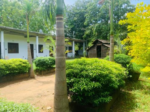 The Heaven Sorabora in Unknown City, Sri Lanka