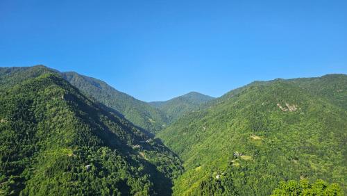 Villa Machakhela ვილა მაჭახელა