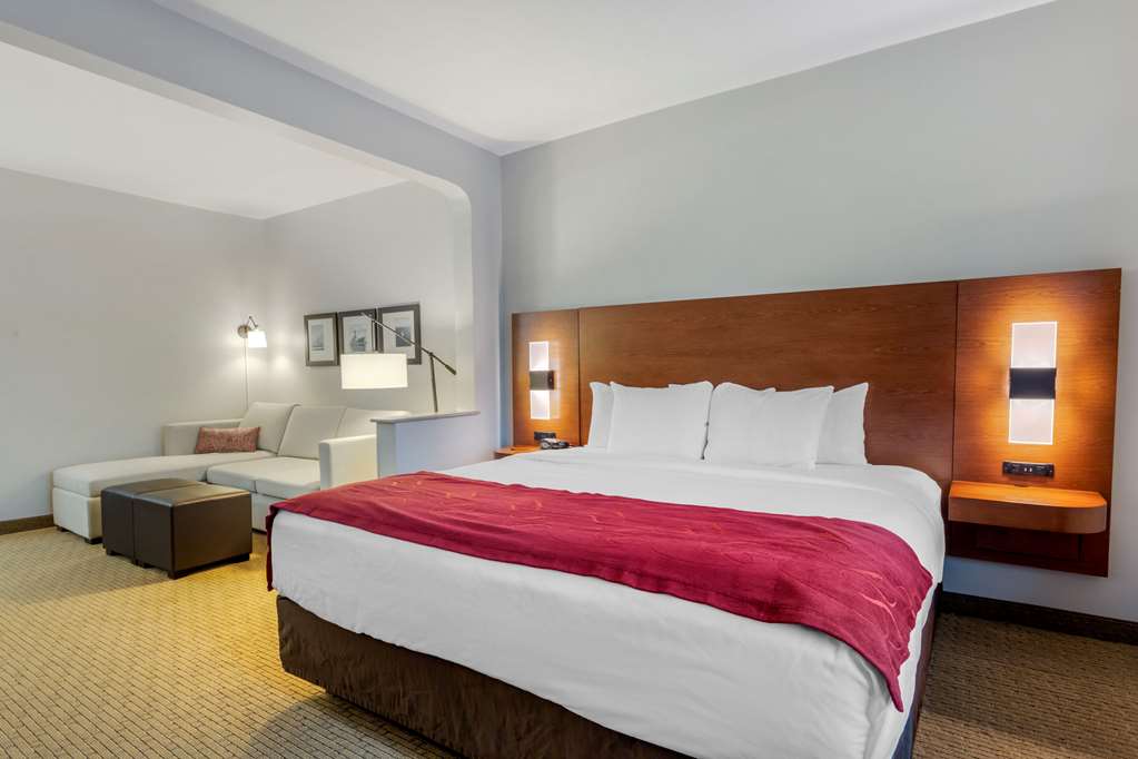 Comfort Suites La Porte Baytown - photo 11