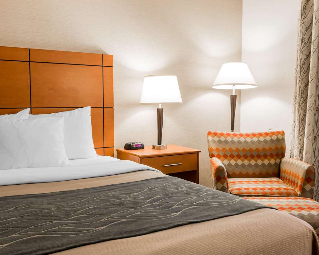 Comfort Inn Metro Airport - photo 18