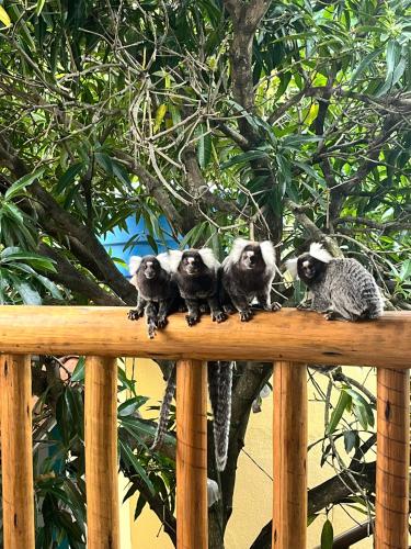 Pousada Charme Francês in Marechal Deodoro, Brasil