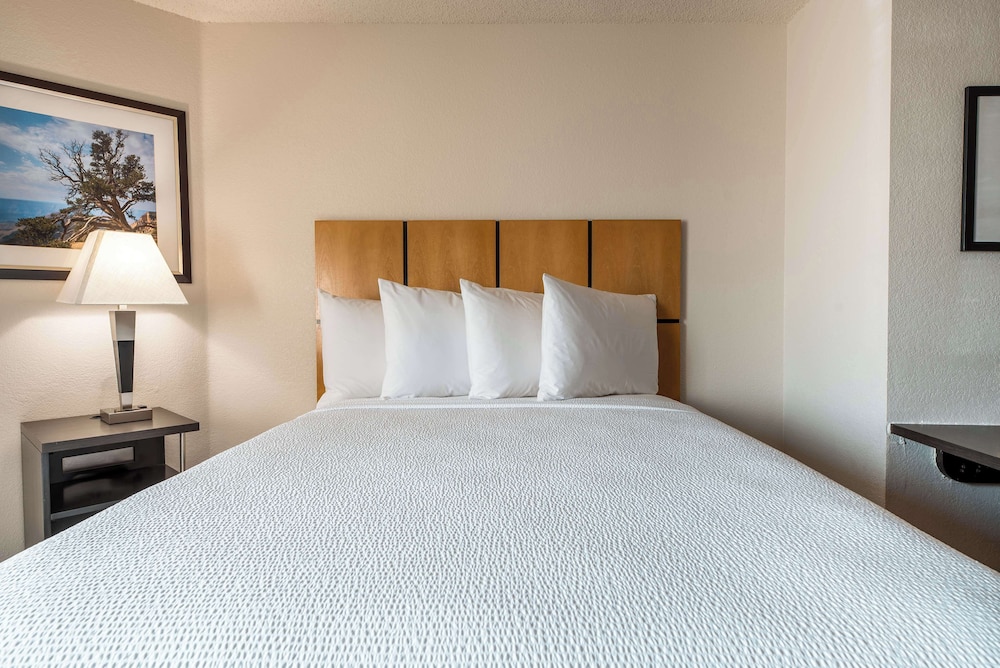 Sonesta Simply Suites Fort Worth - photo 4
