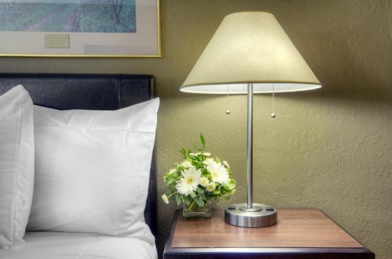 Mariani's Inn - photo 23