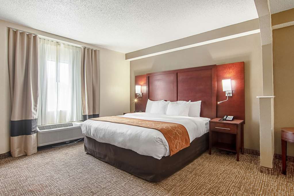 Comfort Suites Knoxville Airport - photo 19