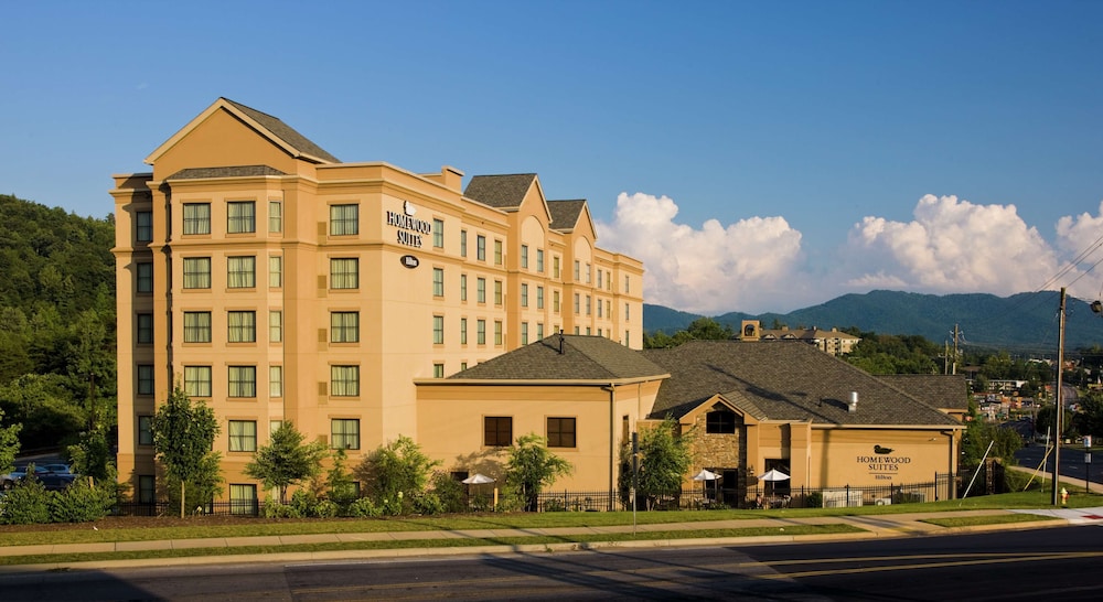 Homewood Suites by Hilton Asheville - photo 36