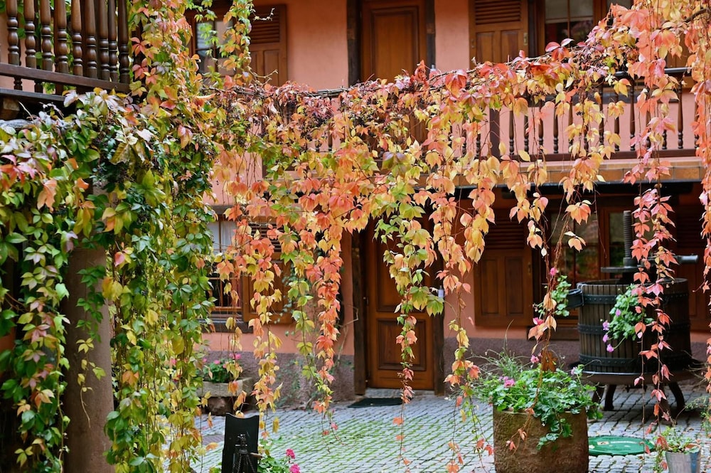 Hôtel de l'Ange - carbon neutral hotel in Turckheim