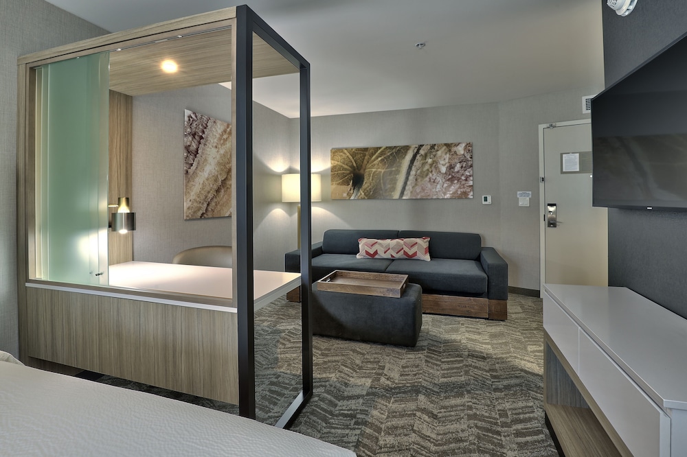 Springhill Suites by Marriott Durango - photo 10